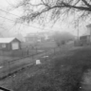 Meet your Posher, Darryl